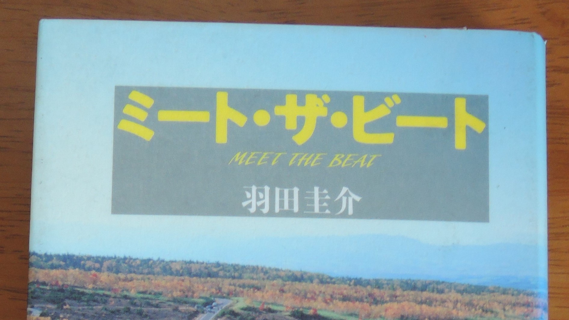 ビートに乗りたくなる本「ミート・ザ・ビート」